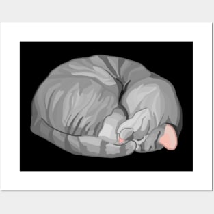 Sleeping Curled Gray Tabby Cat Posters and Art